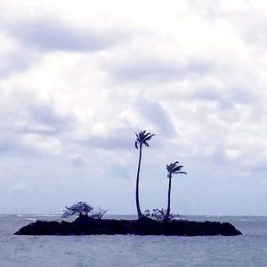 Meet your Posher, Dawn